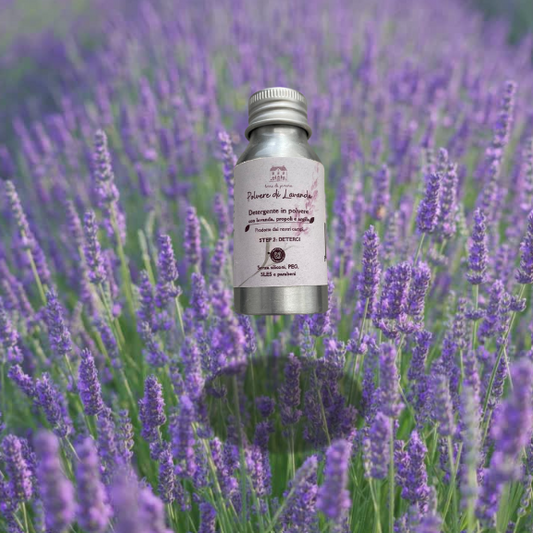 Polvere di Lavanda