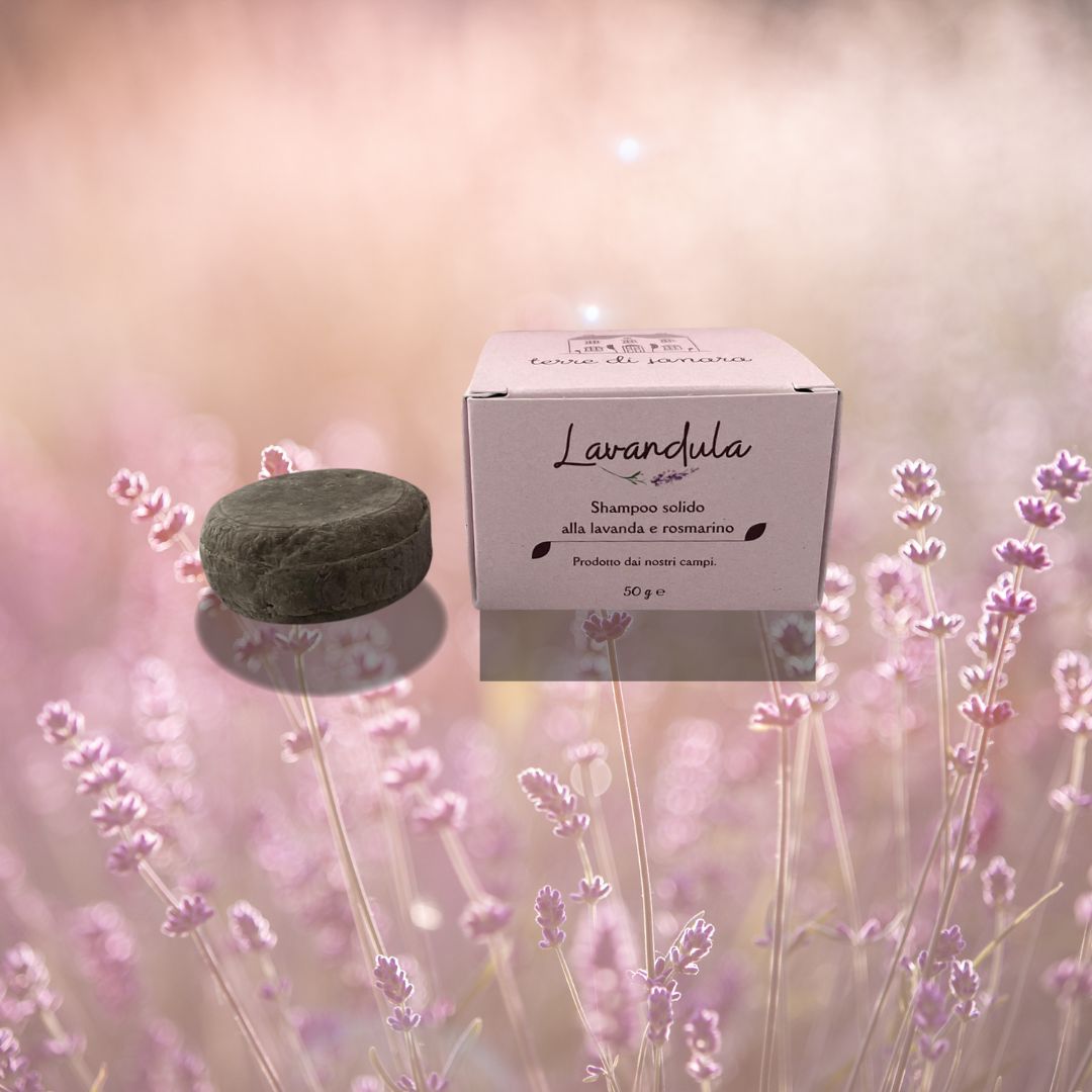 shampoo solido lavandula