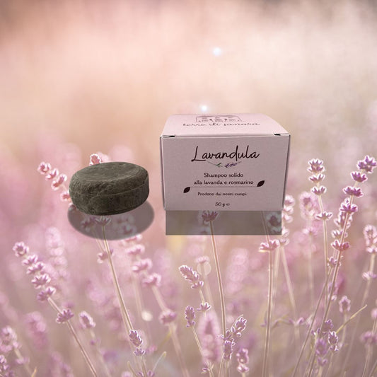 shampoo solido lavandula