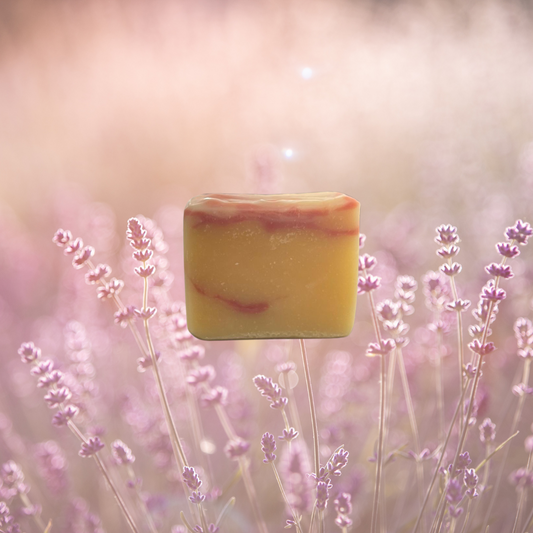 sapone viso corpo lavandula